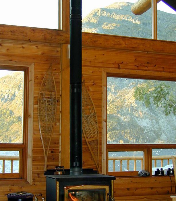 lodge stove